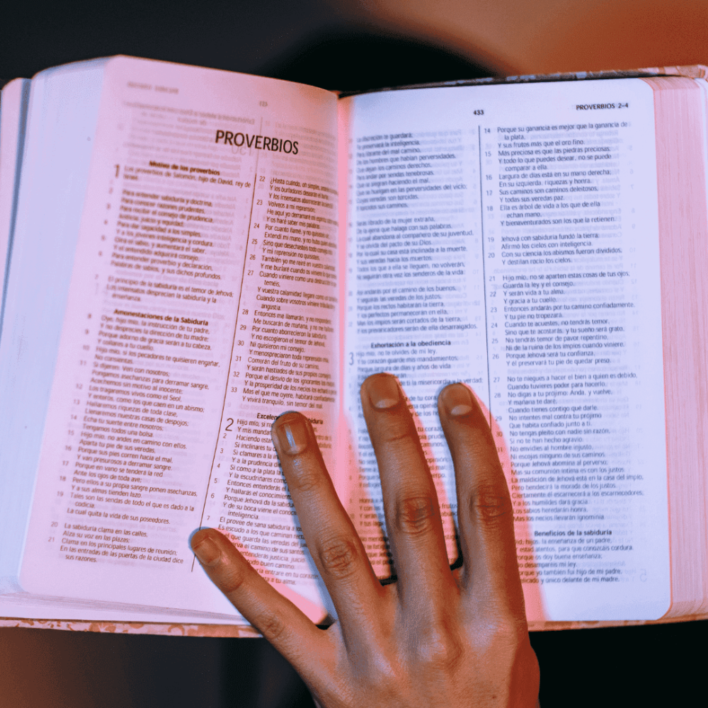 Inserir um título (17)